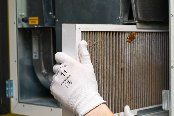 Best Professional Duct Cleaning Services  in Marfa, TX