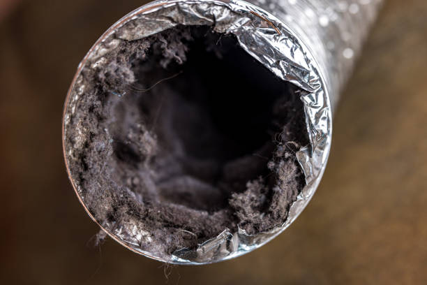 Best Residential Air Duct Cleaning  in Marfa, TX